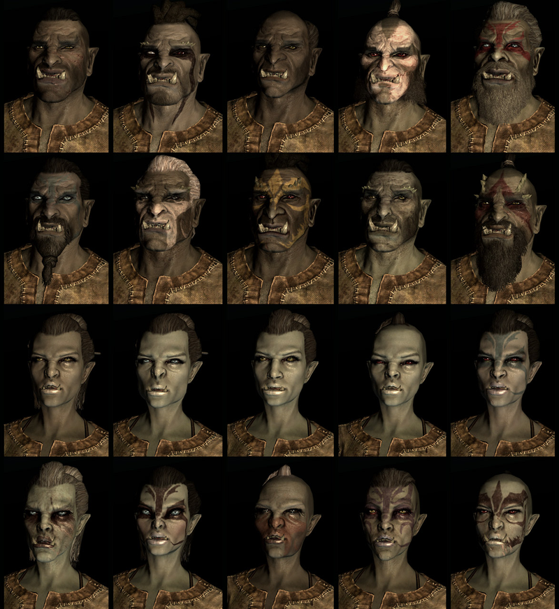 Illustration for article titled Twenty Different Faces For Each of Skyrim's Races